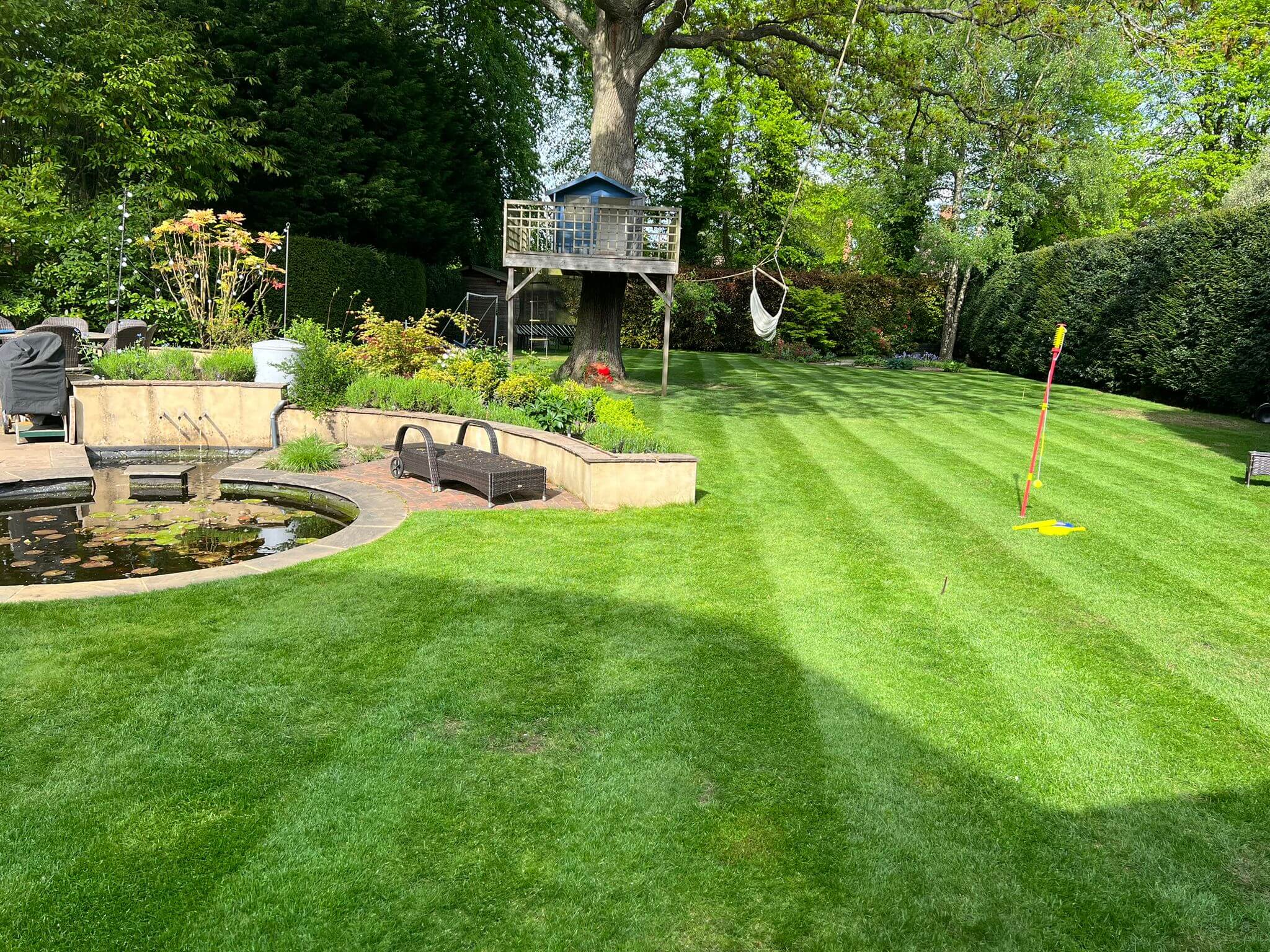 Lawn Cutting