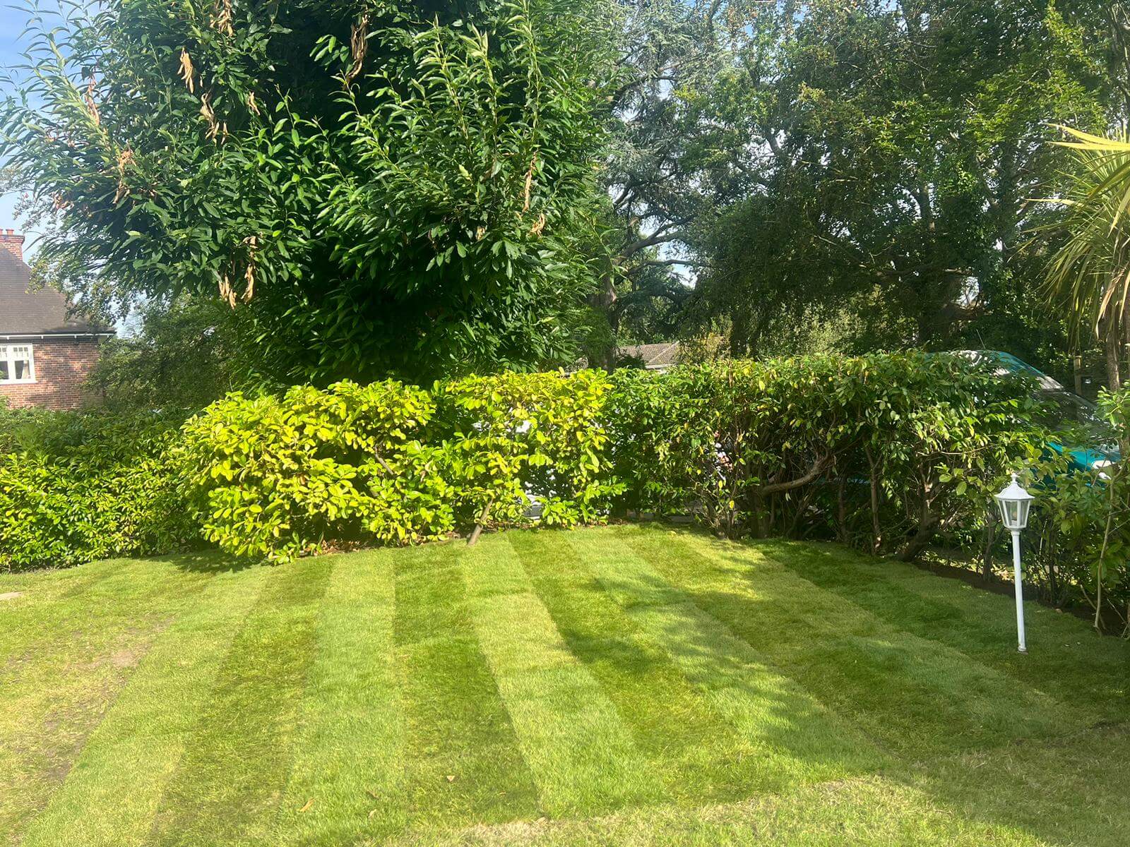 Turfing Services