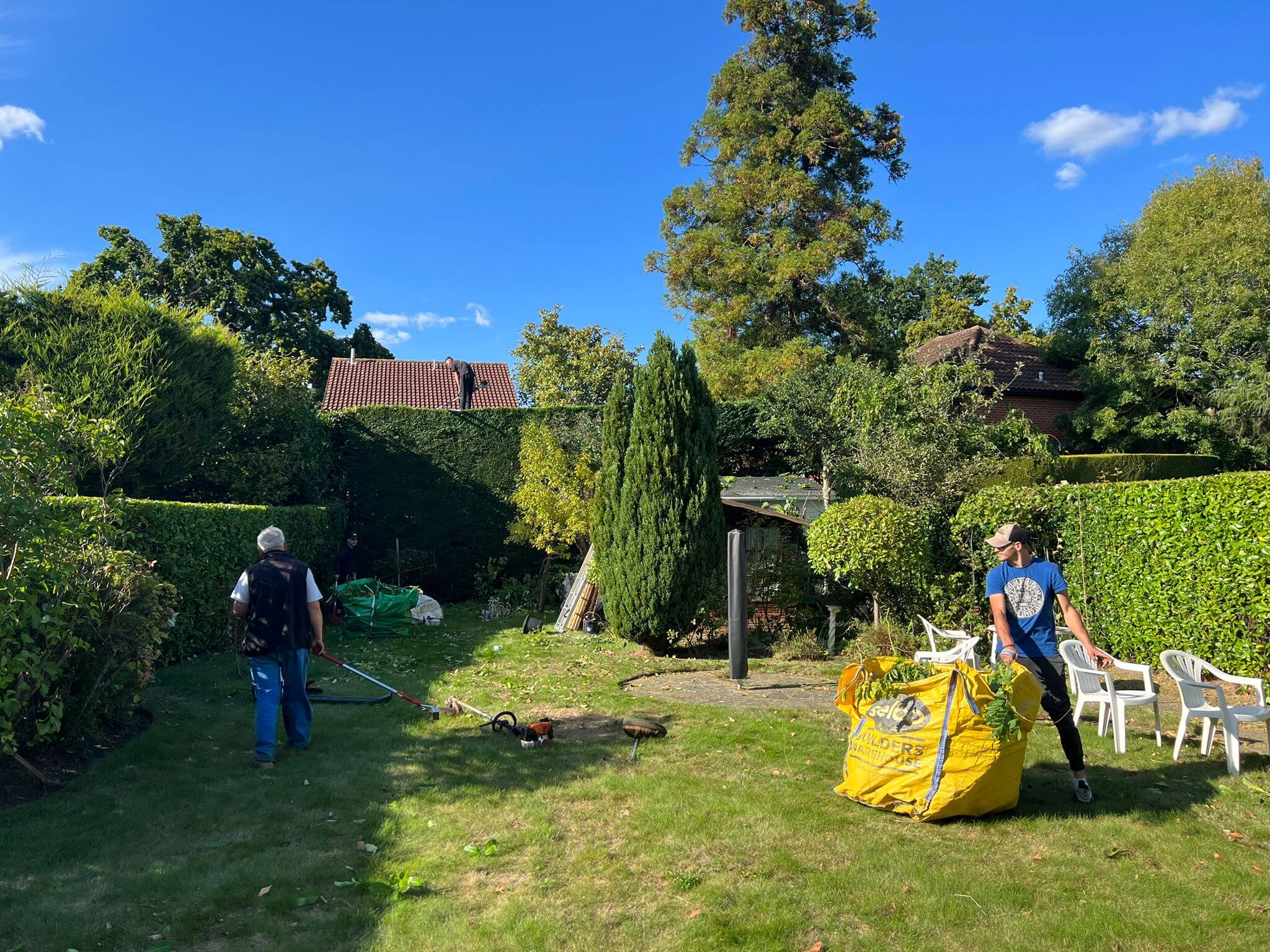 Hedge Trimming Services