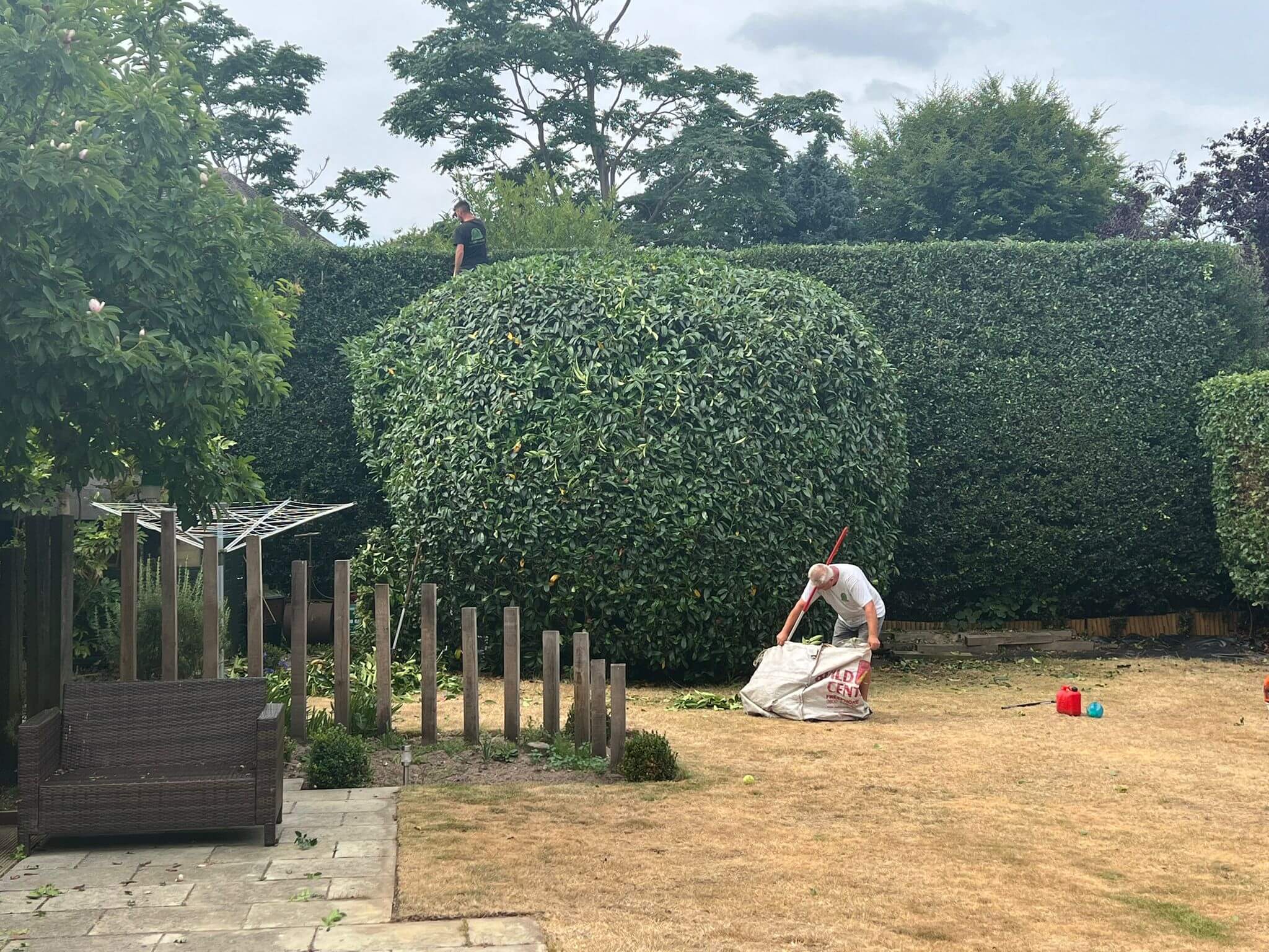 Hedge Trimming Services