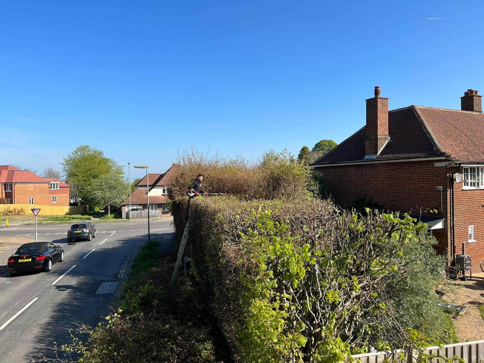 Hedge Trimming Services