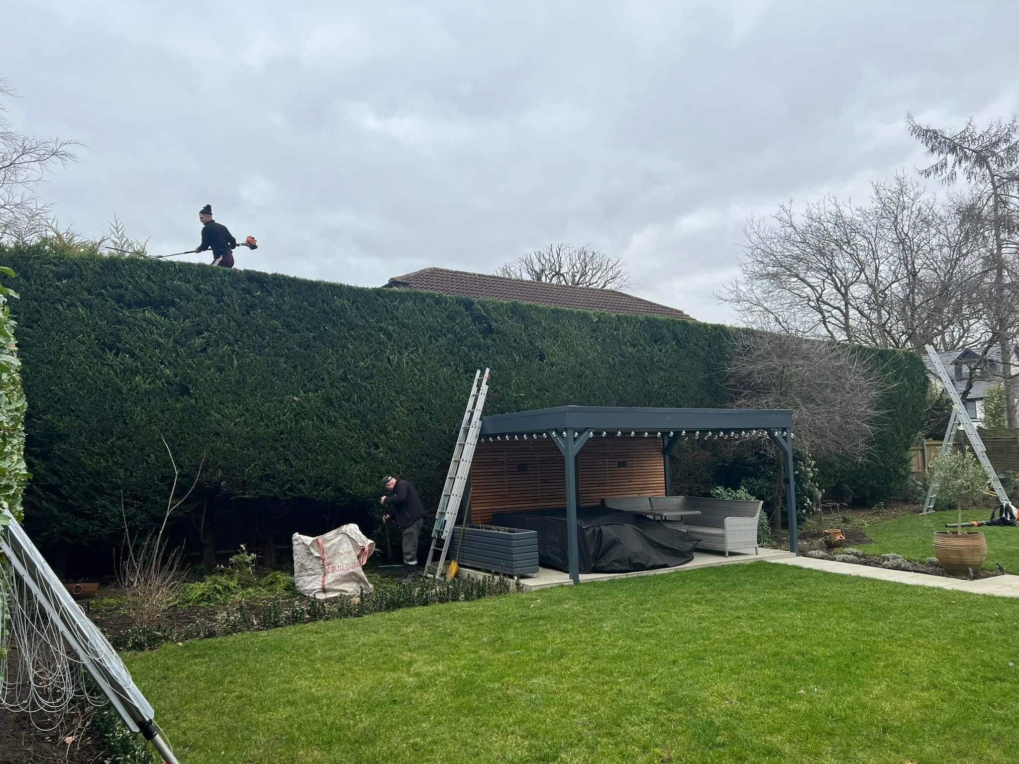 Hedge Trimming Services