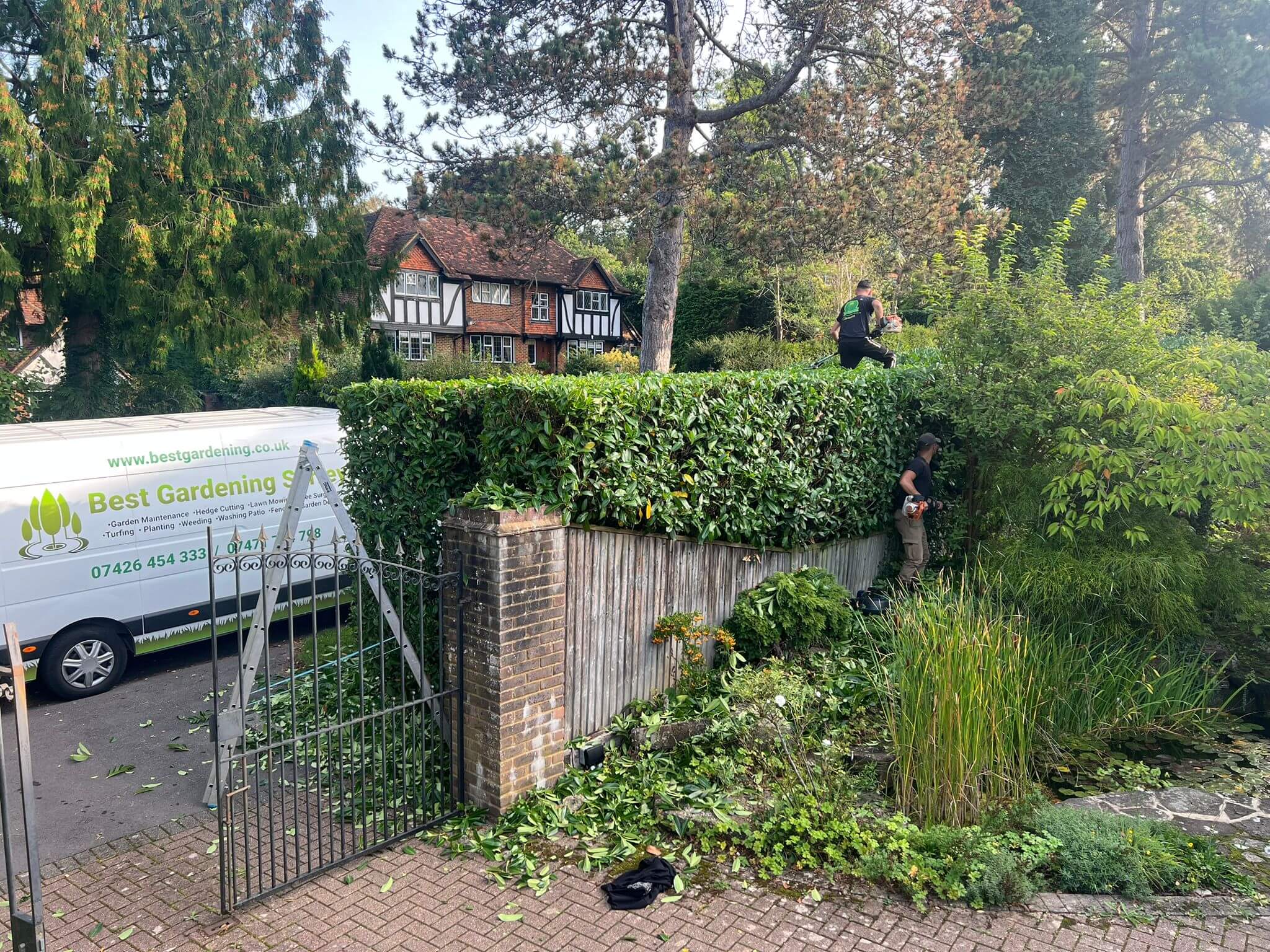 Hedge Trimming Services