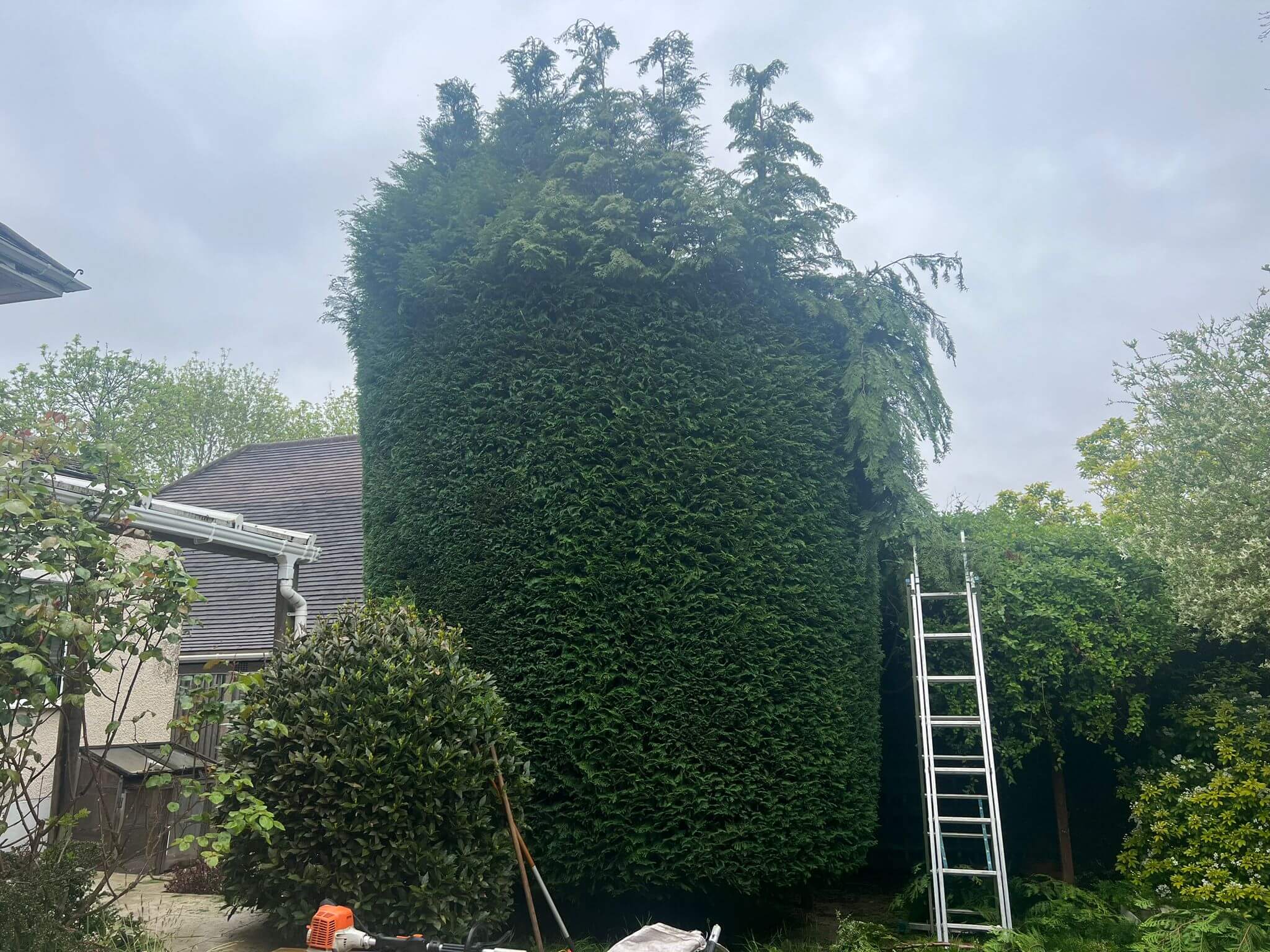 Hedge Trimming Services