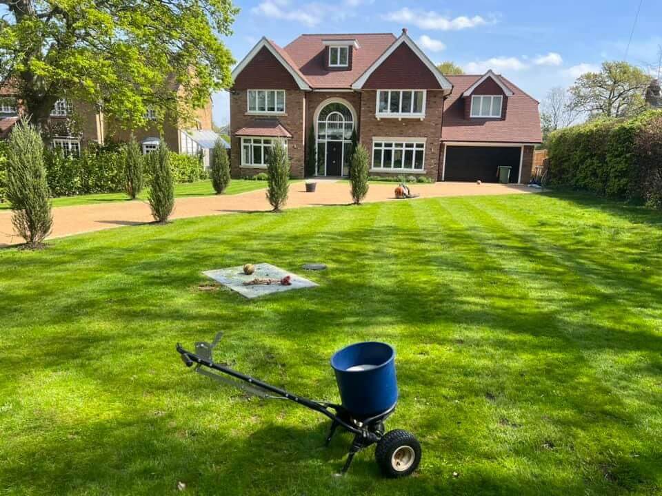 Lawn Care Services