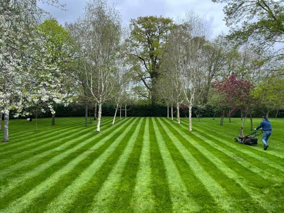 Lawn Care Services