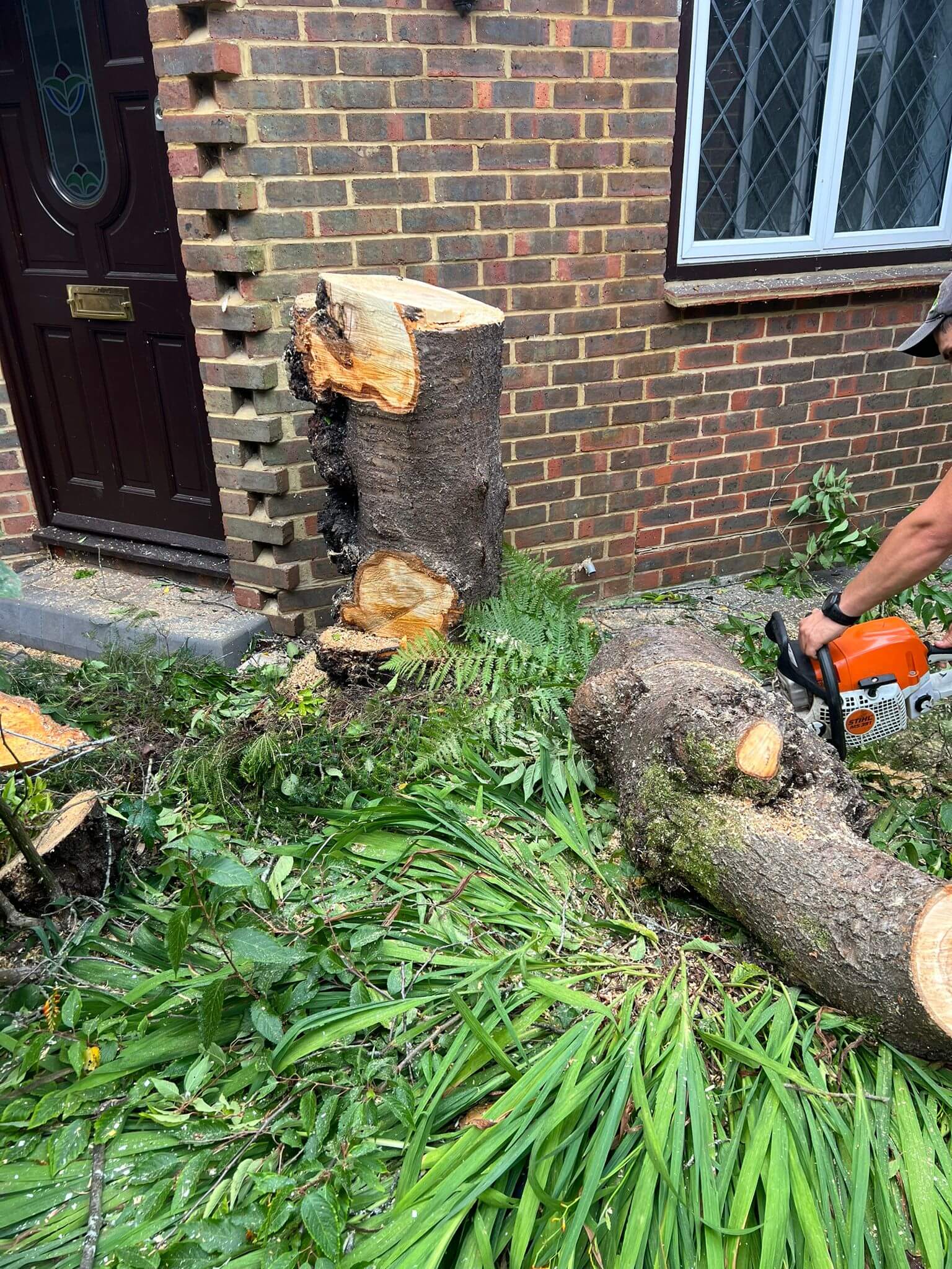 Tree Surgeon Best Gardening & Landscaping