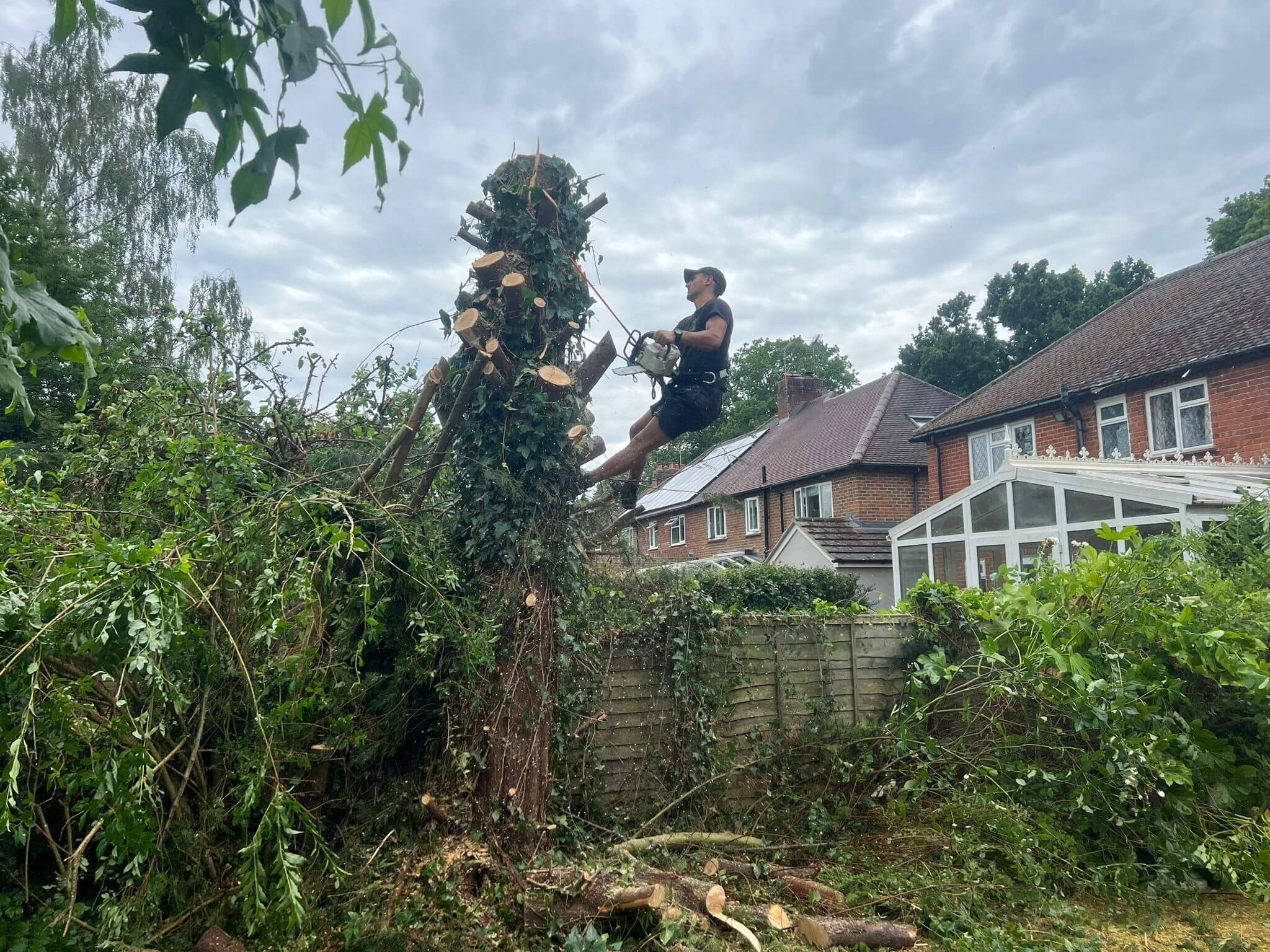 Tree Surgeon Best Gardening & Landscaping