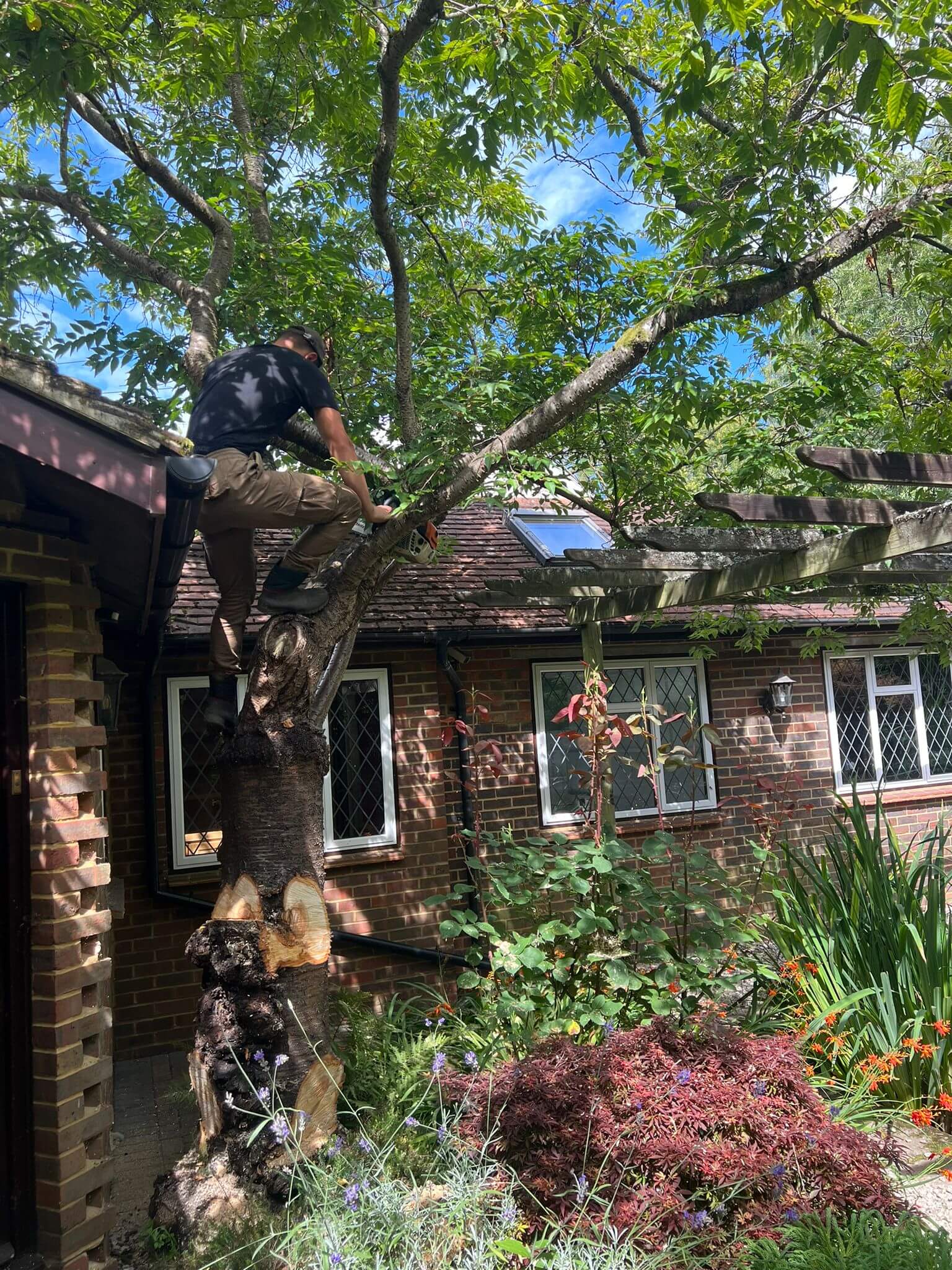 Tree Surgeon Best Gardening & Landscaping